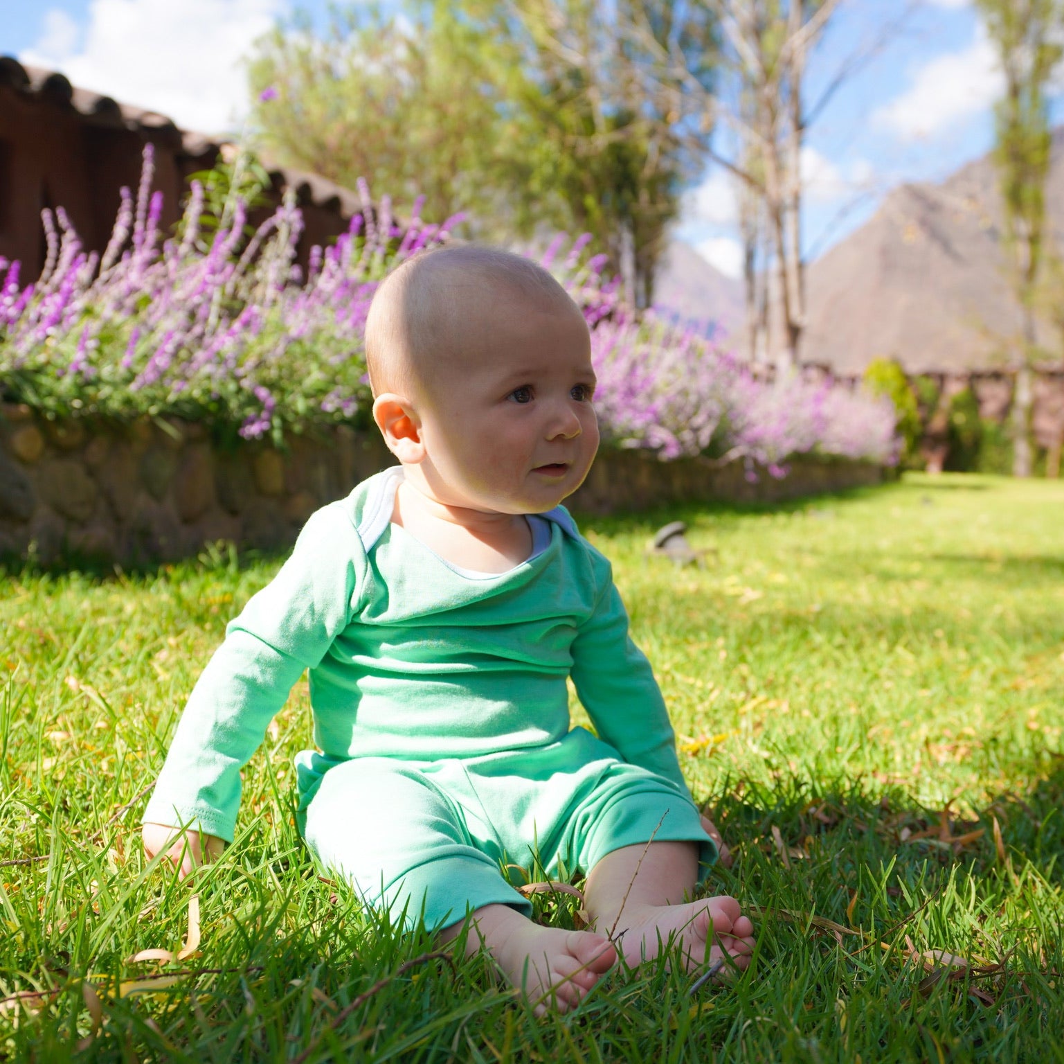 Grass Green with Blue 