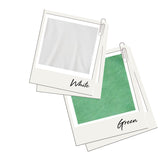 Adult Colorblock Tee White with Grass Green