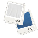 Adult Colorblock Tee White with Navy Blue